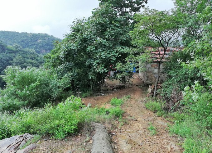 花果山图片